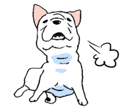 Kotarou is a french bulldog. sticker #631138