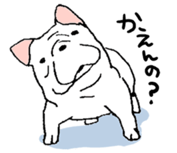 Kotarou is a french bulldog. sticker #631139