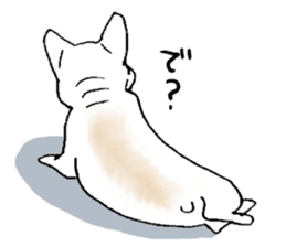 Kotarou is a french bulldog. sticker #631143