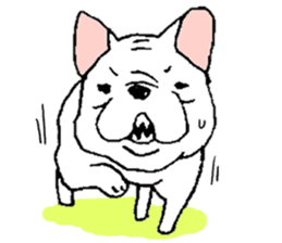 Kotarou is a french bulldog. sticker #631144