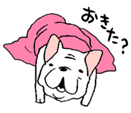 Kotarou is a french bulldog. sticker #631146
