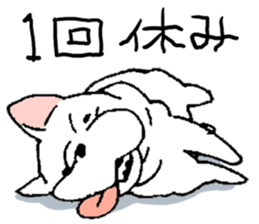 Kotarou is a french bulldog. sticker #631148