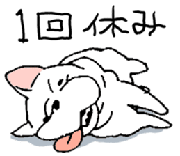 Kotarou is a french bulldog. sticker #631148