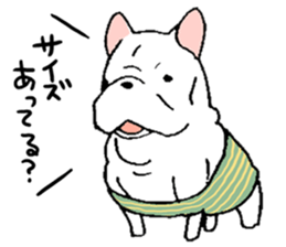 Kotarou is a french bulldog. sticker #631151