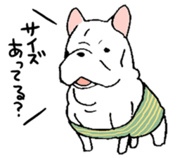 Kotarou is a french bulldog. sticker #631151