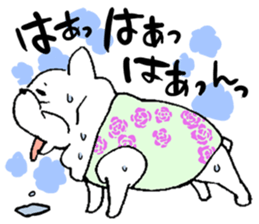 Kotarou is a french bulldog. sticker #631153