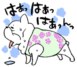 Kotarou is a french bulldog. sticker #631153