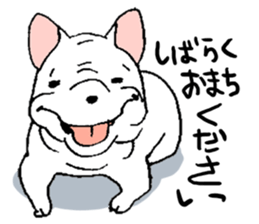 Kotarou is a french bulldog. sticker #631158