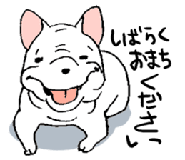 Kotarou is a french bulldog. sticker #631158
