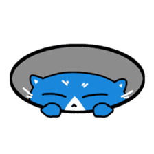 Sticker of blue-white cat sticker #631811