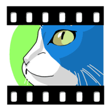 Sticker of blue-white cat sticker #631832