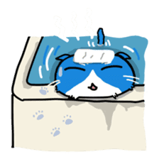Sticker of blue-white cat sticker #631838