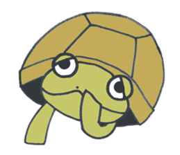 Mr.land tortoise sticker #631851