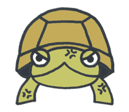 Mr.land tortoise sticker #631874