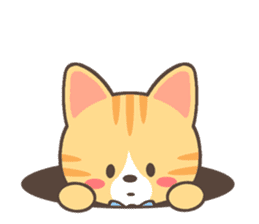 Brown tabby sticker #632168
