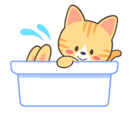 Brown tabby sticker #632169