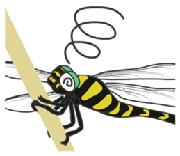 The Insect World sticker #633107