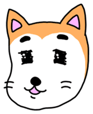 lovely dog and toy box sticker #639298