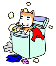 lovely dog and toy box sticker #639309