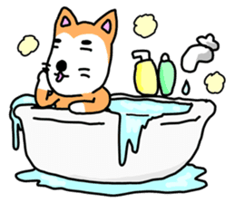 lovely dog and toy box sticker #639313