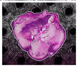 Deep Fried Chicken sticker #639448