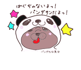 Pug every day! sticker #640476