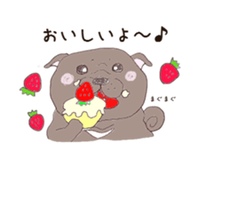 Pug every day! sticker #640501