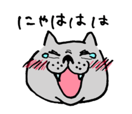 The cat communication sticker #644187