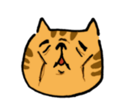 The cat communication sticker #644201