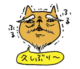 The cat communication sticker #644203