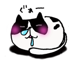 The cat communication sticker #644216