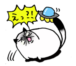 The cat communication sticker #644222