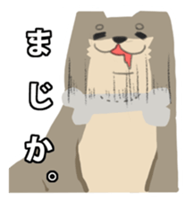 Face of troubled animals -dogs and cats- sticker #644236