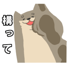 Face of troubled animals -dogs and cats- sticker #644255