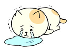 The cat is embarrassing face (English) sticker #646711