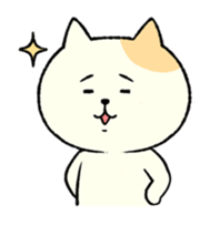 The cat is embarrassing face (English) sticker #646724