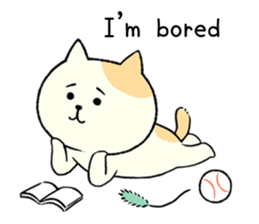 The cat is embarrassing face (English) sticker #646736