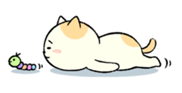 The cat is embarrassing face (English) sticker #646740