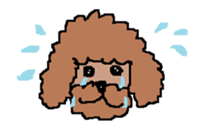 Let's enjoy Lovely talk!! sticker #647127