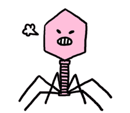 bacteriophage sticker #649467