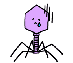 bacteriophage sticker #649468