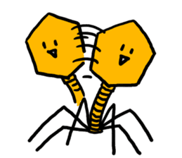 bacteriophage sticker #649492