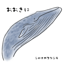 LOOSE WHALES sticker #649546
