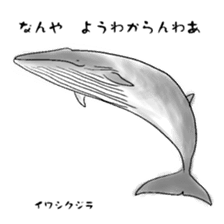 LOOSE WHALES sticker #649548