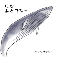 LOOSE WHALES sticker #649549