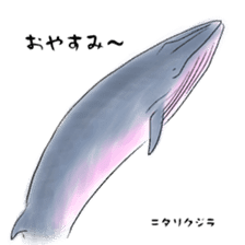 LOOSE WHALES sticker #649550