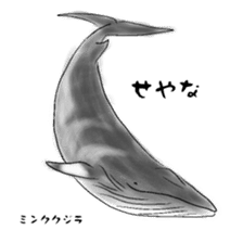LOOSE WHALES sticker #649551