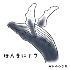 LOOSE WHALES sticker #649557