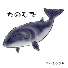 LOOSE WHALES sticker #649559