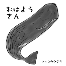 LOOSE WHALES sticker #649560